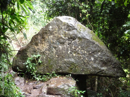 Stone by Thompson Falls