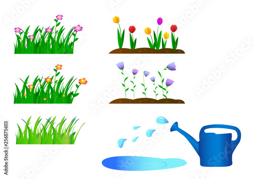 Collection of green plants gardens Elements for design. Vector plants.
