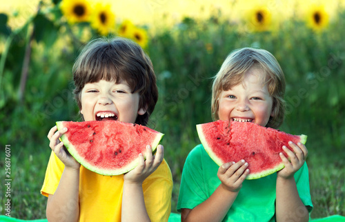Happy child eating watermelon in garden. Two boys with fruit in park. photo
