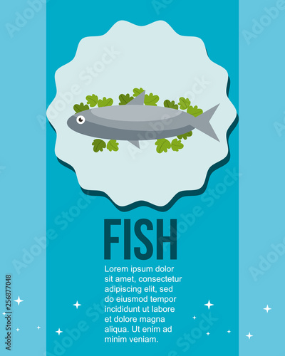 fresh fish and salad healthy food