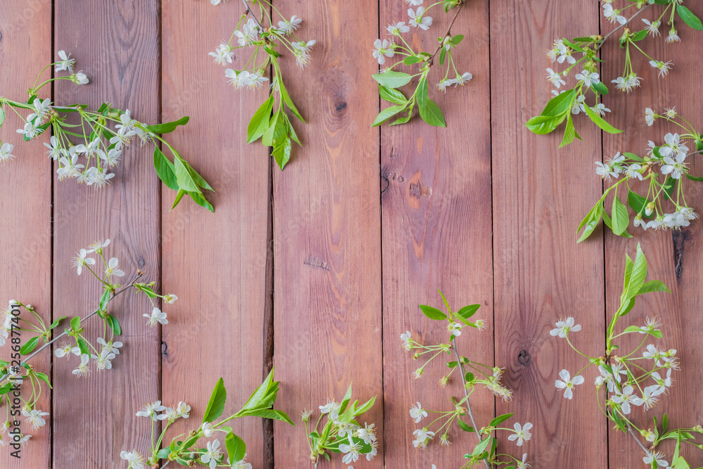 Flat lay composition with spring white flowers on a wooden background Flat lay composition with spring white flowers on a wooden background