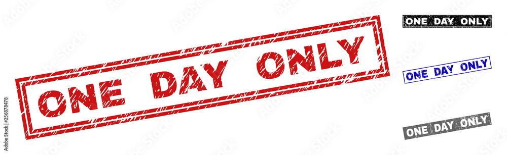 Grunge ONE DAY ONLY rectangle stamp seals isolated on a white background. Rectangular seals with grunge texture in red, blue, black and gray colors. Grunge ONE DAY ONLY rectangle stamp seals isolated on a white background. Rectangular seals with grunge texture in red, blue, black and gray colors.