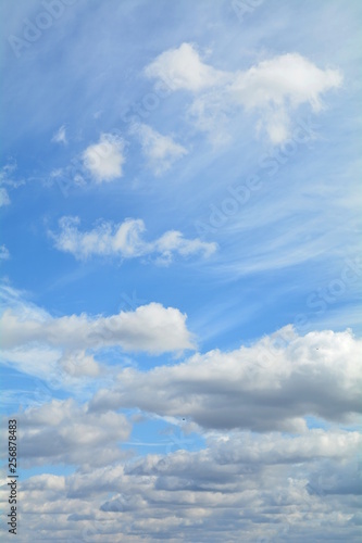 Fototapeta Naklejka Na Ścianę i Meble -  chmury