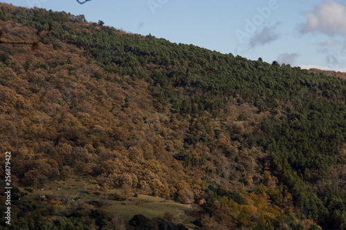 Across the Valley