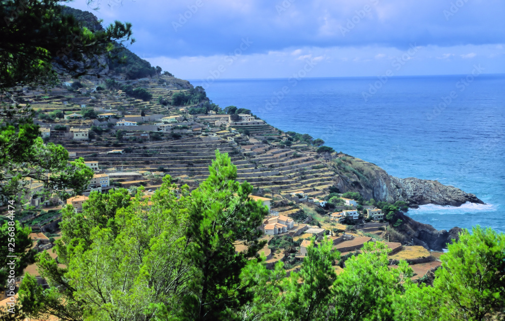 Fototapeta premium banyalbufar auf mallorca.