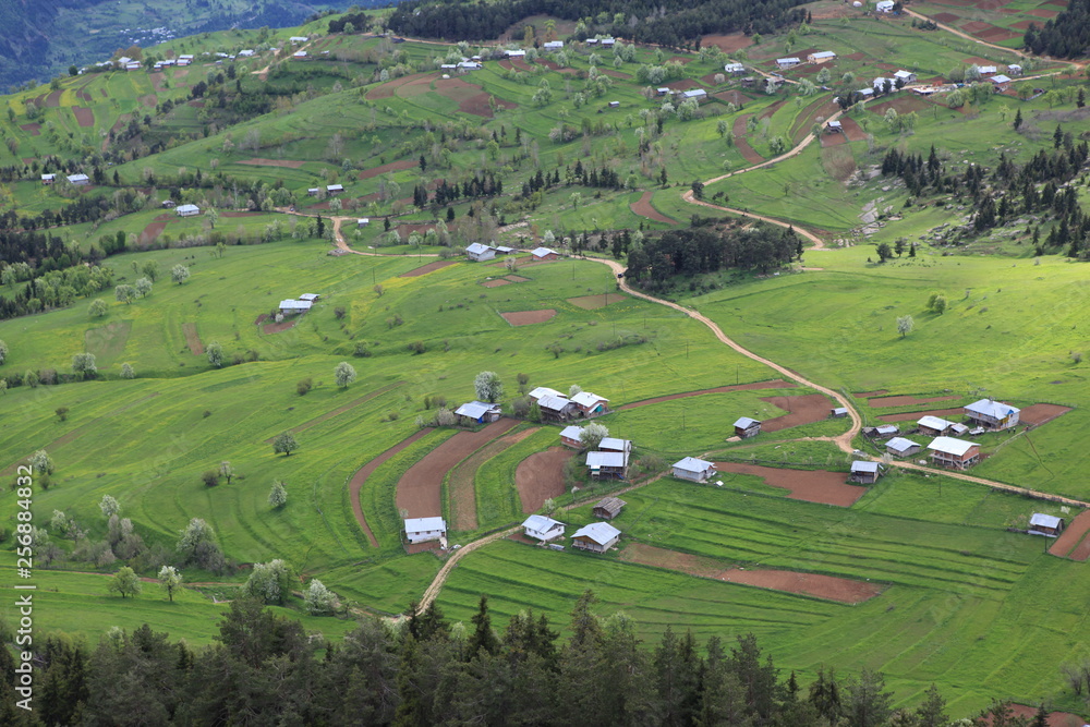 colorful flower landscape photo.artvin/TURKEY