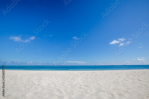 Simplicity and minimalism beach concept. White sand and blue sky  empty idyllic exotic beach landscape 