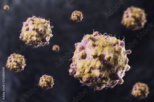 Large yellow bacteria virus cells