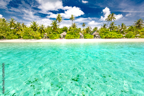 Fototapeta Naklejka Na Ścianę i Meble -  Maldives island beach scene, tropical landscape with green palm trees and blue sea under blue sky. Exotic travel destination concept, summer vacation, beach holiday