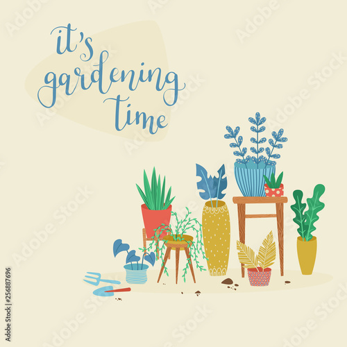 Urban jungle, replanting, gardening concept