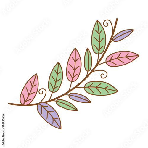 cute wreath whit beautiful colors