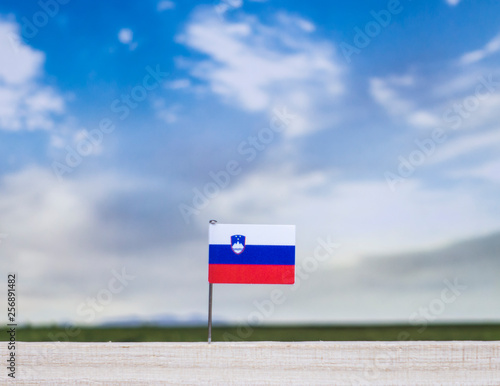 Flag of Slovenia with vast meadow and blue sky behind it.