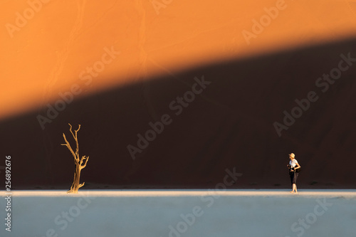 A woman walking towards a tree in Deadvlei, Sossusvlei, Namibia. photo