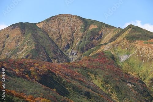 朝日連峰の秋 大朝日岳への道 紅葉 古寺山稜線からの眺望