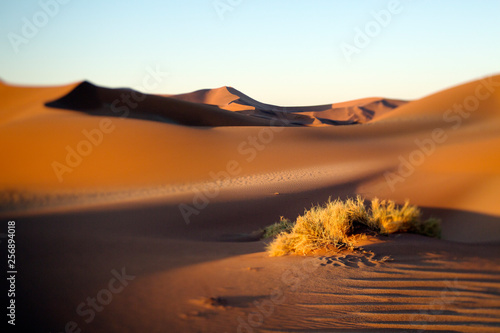 Sand dune abstract taken in Sossusvlei, Namibia photo
