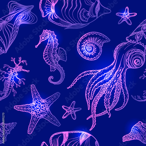 Photography Underwater Animals on Blue Background