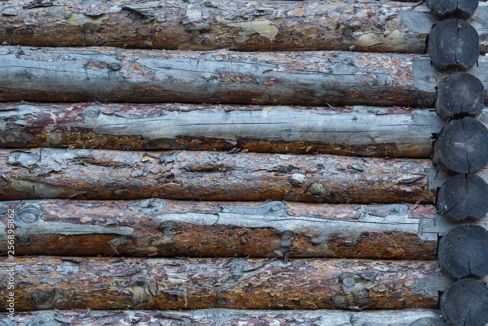 Fragment of a wooden fortress wall from raw logs. Texture. Fragment of a wooden fortress wall from raw logs. Texture.