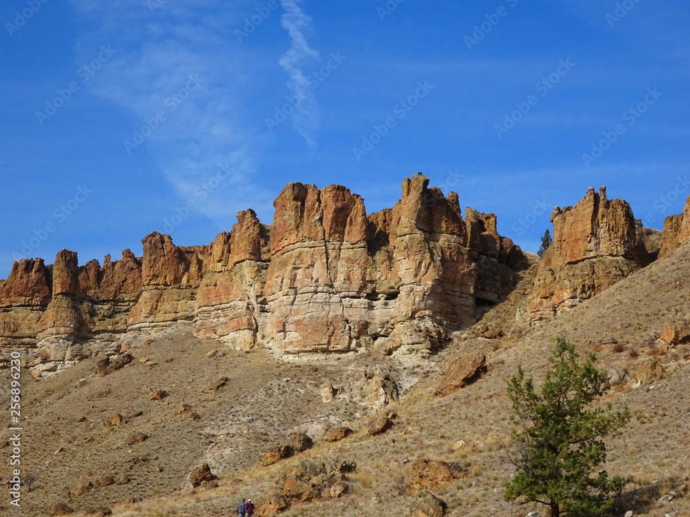 The Clarno Unit of the John Day Fossil Beds National Monument of Oregon