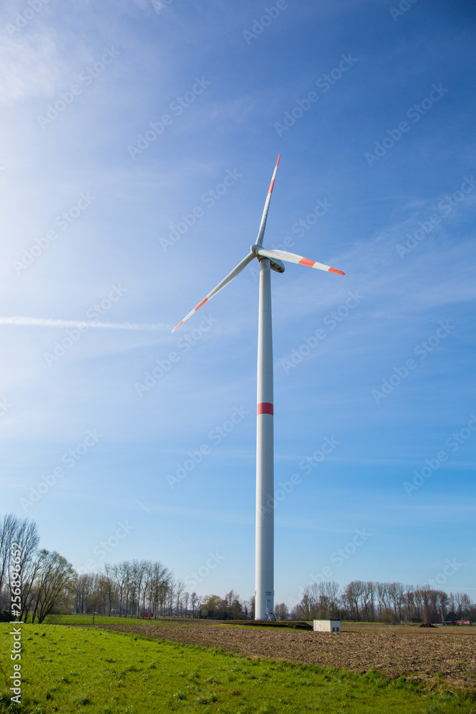 wind turbines in field