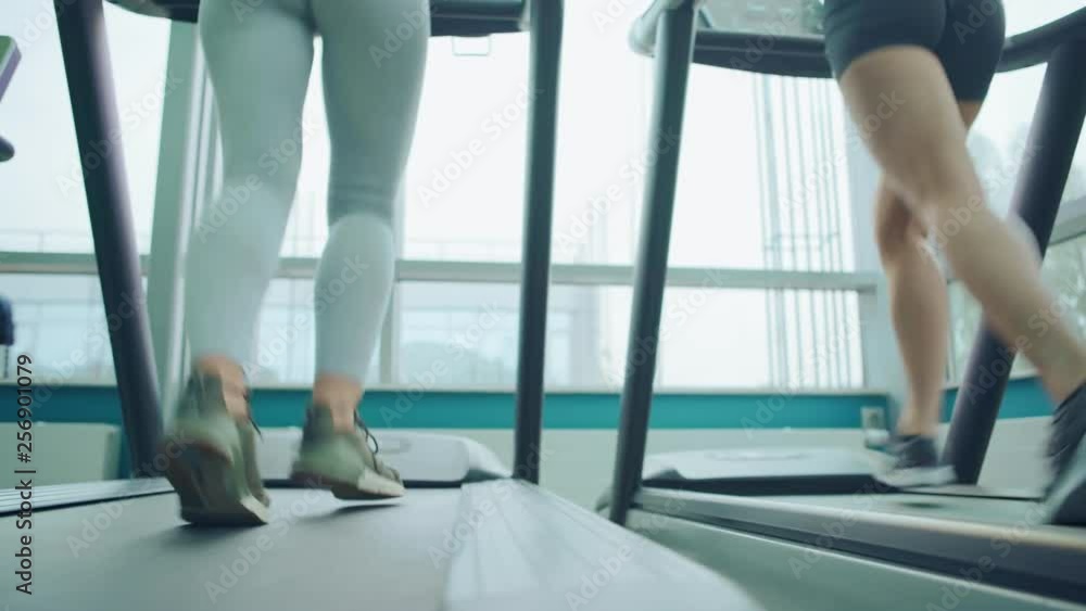 Legs of two unrecognizable female gym-goers running on treadmills during cardio training, tracking left shot Legs of two unrecognizable female gym-goers running on treadmills during cardio training, tracking left shot