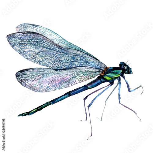 Watercolor Green Dragonfly