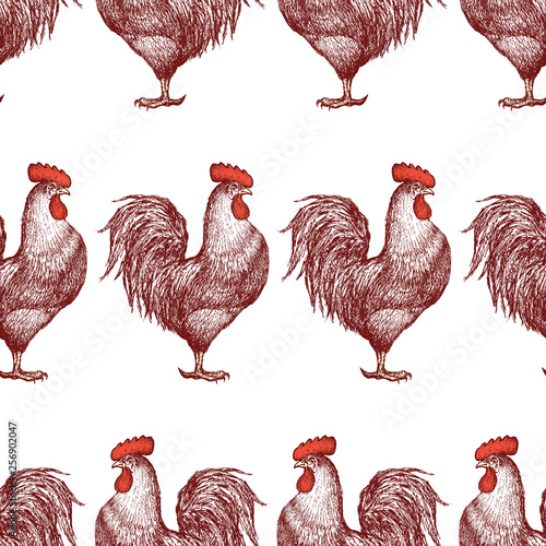 Seamless background of drawn cartoon rooster