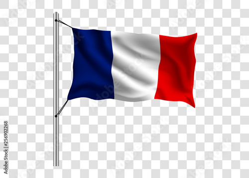 Waving France flag on the flagpole on the isolated background, the flag of France, vector illustration
