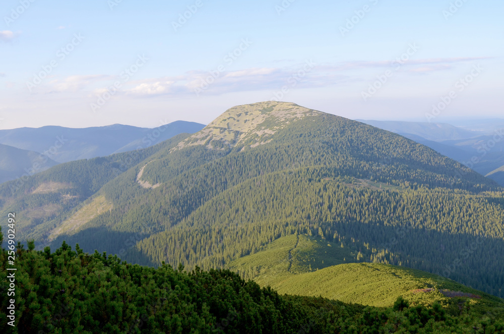 Obraz premium Mountains Carpathians. Ukraine. Forest. On high. Summer day. Journey. Hike.