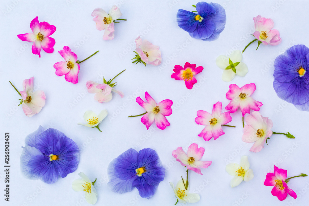 Floral summer background on white background
