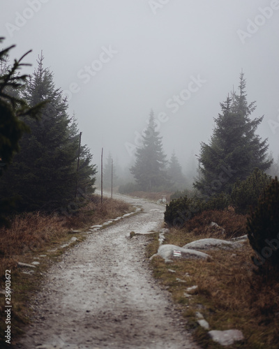 Rainy day on the trail.