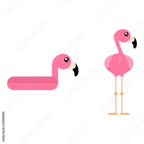 cartoon cute flamingo and flamingo float vector