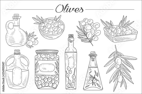 Set of monochrome olives, branches, various oil bottles and bowls. Natural product. Sketch style icons. Hand drawn vector elements for decoration
