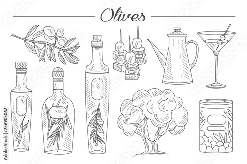 Hand drawn set of olive tree, branch, oil bottles with herbs, martini glass, tasty snacks. Fresh and natural product. Sketch style icons. Monochrome vector design