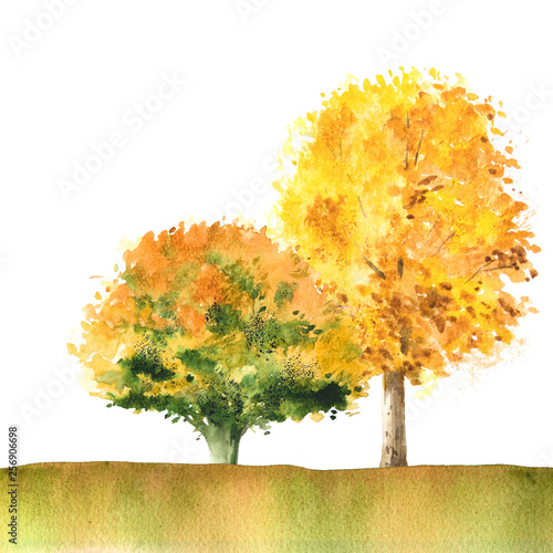 Yellow and green trees in a park. Autumn landscape. Isolated watercolor illustration.