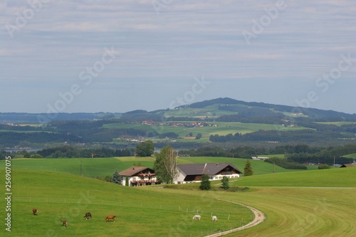 salzburger land