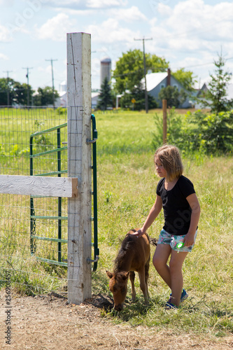 Young girl in shorts petting a miniature brown foal feeding