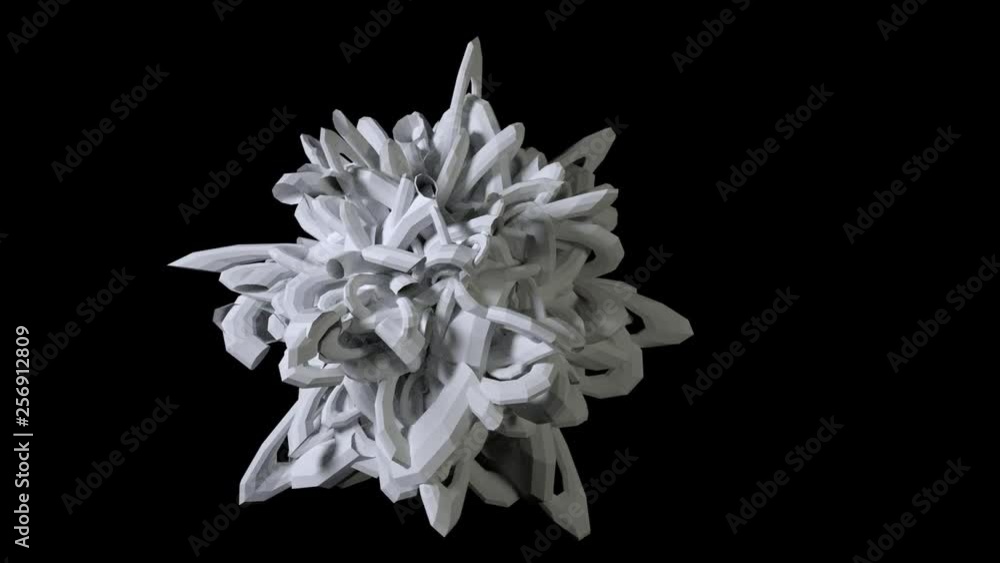 Complex 3D fractal rotating in a continuous loop, isolated on black. Complex 3D fractal rotating in a continuous loop, isolated on black.