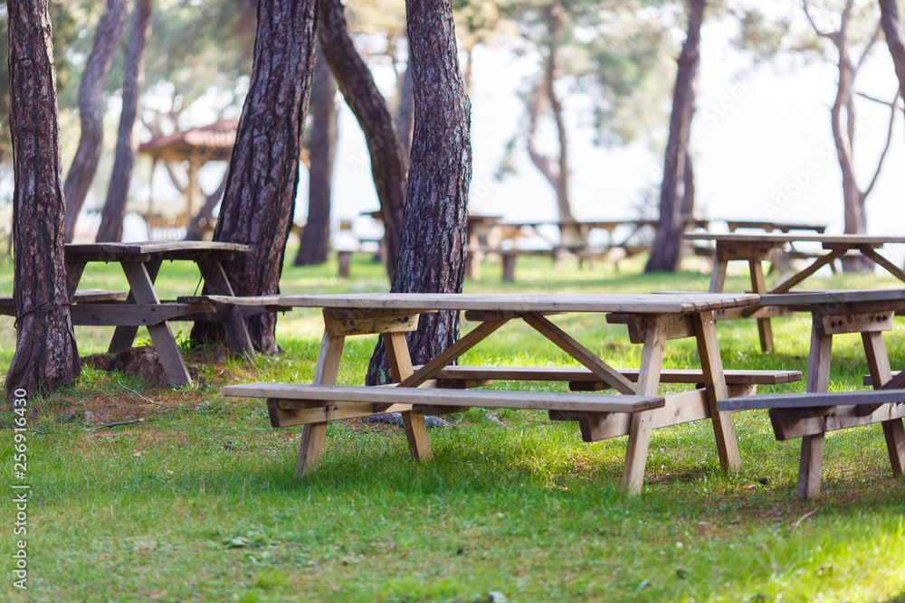 Photo of green park with trees, wooden benches, table. Photo of green park with trees, wooden benches, table.