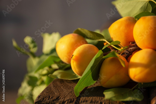 Ripe Apricots on a branch with green leaves on a wooden table photo