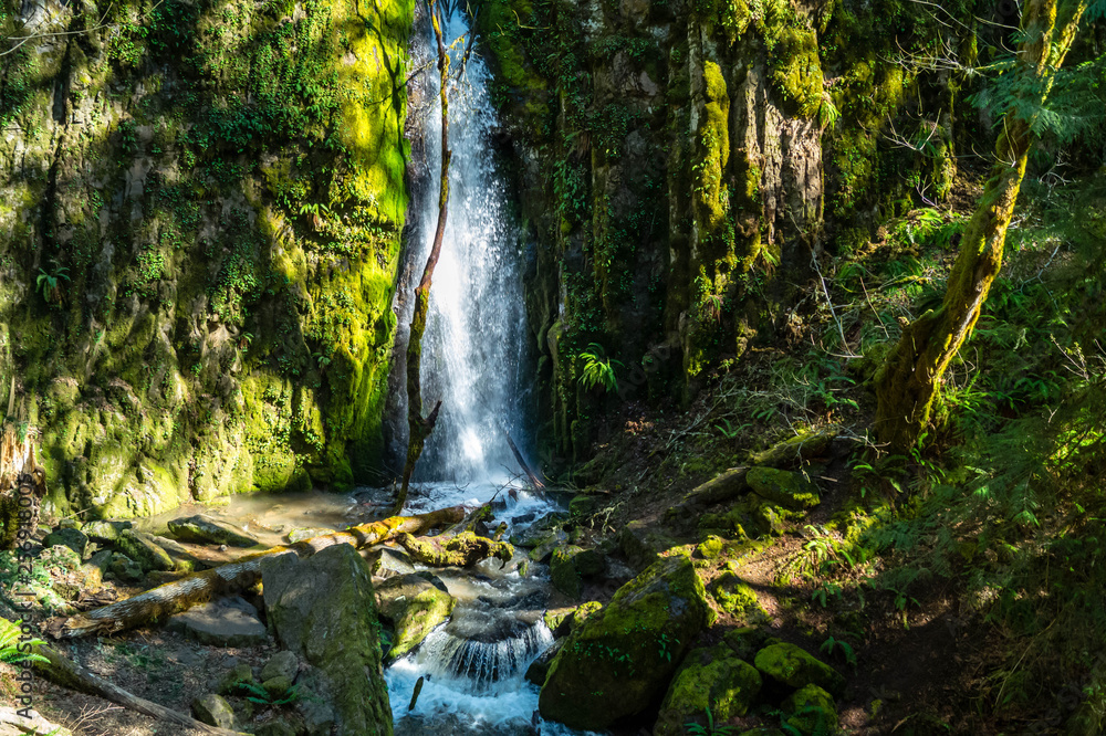 Lower Soda Creek Falls in Cascadia State Park near Sweet Home, Oregon Lower Soda Creek Falls in Cascadia State Park near Sweet Home, Oregon