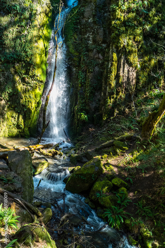 Lower Soda Creek Falls in Cascadia State Park near Sweet Home  Oregon
