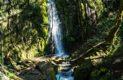 Lower Soda Creek Falls in Cascadia State Park near Sweet Home, Oregon