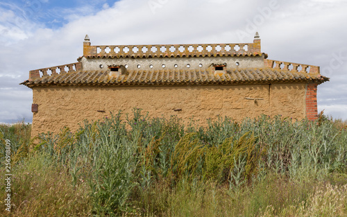 Antiguo palomar de adobe rodeado de cardos  photo