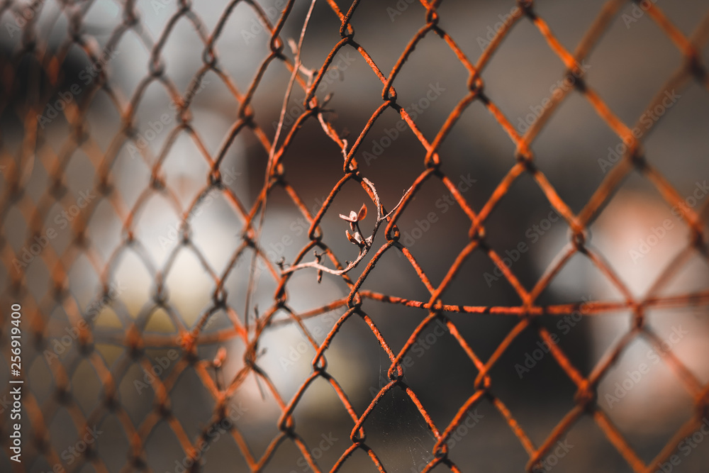 wire wire