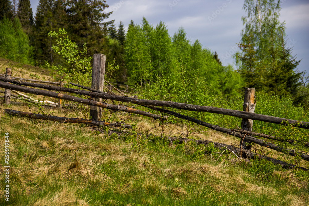 Fototapeta premium old wooden fence