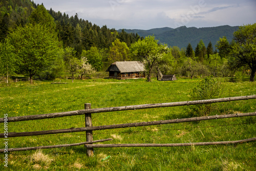 carpathian rural landscape