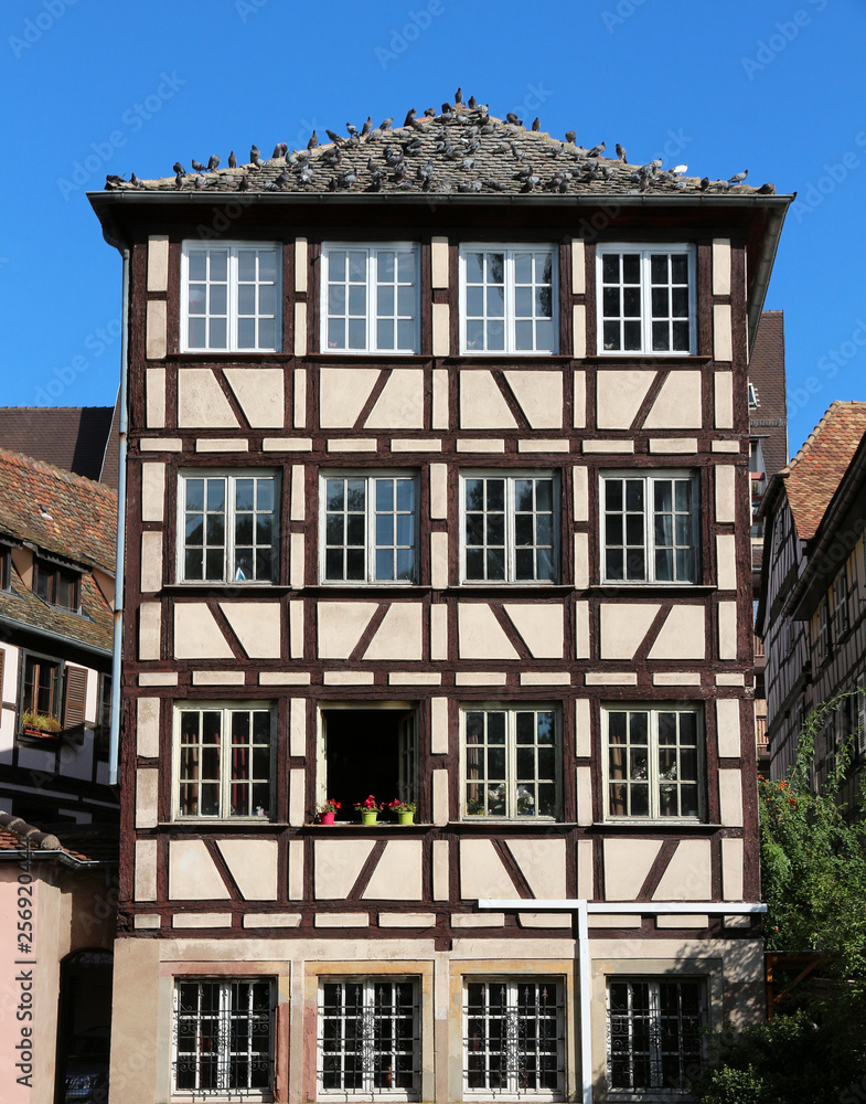Fototapeta premium Strasbourg - France- traditional half-timbering building