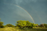 Forest landscape, with rainbow, Pampas, Argentina
