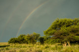 Forest landscape, with rainbow, Pampas, Argentina