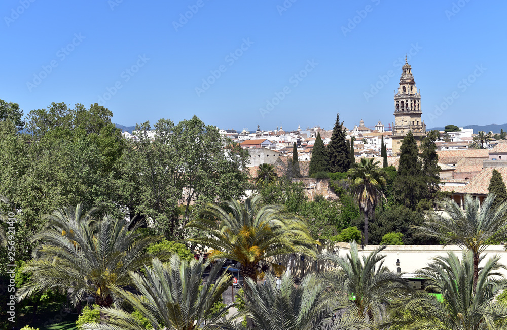 The bell tower of the Mosque-Cathedral (Great Mosque of Cordoba) (Mezquita), seen from the inner courtyard, Cordoba, Andalusia, Spain